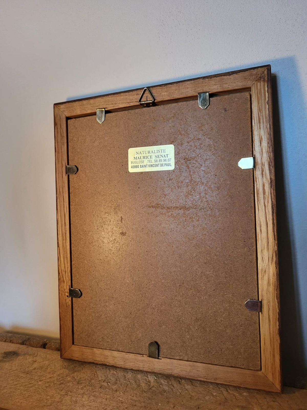 Tableau chat vintage en peau de vache