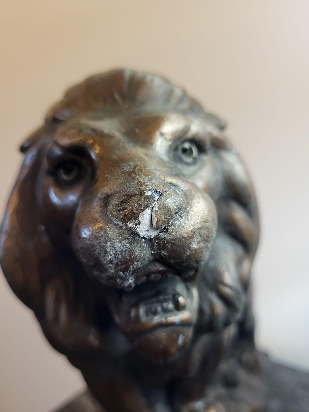 Sculpture Lion plâtre