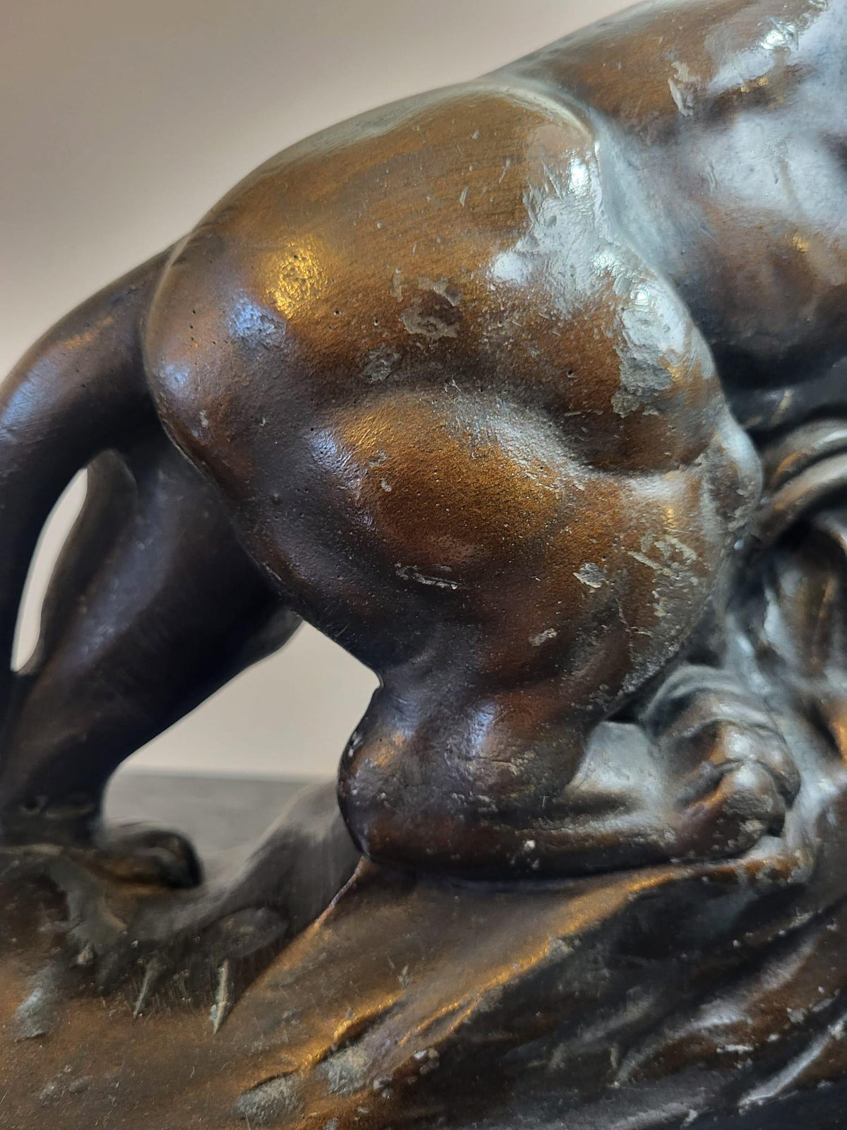 Sculpture Lion plâtre