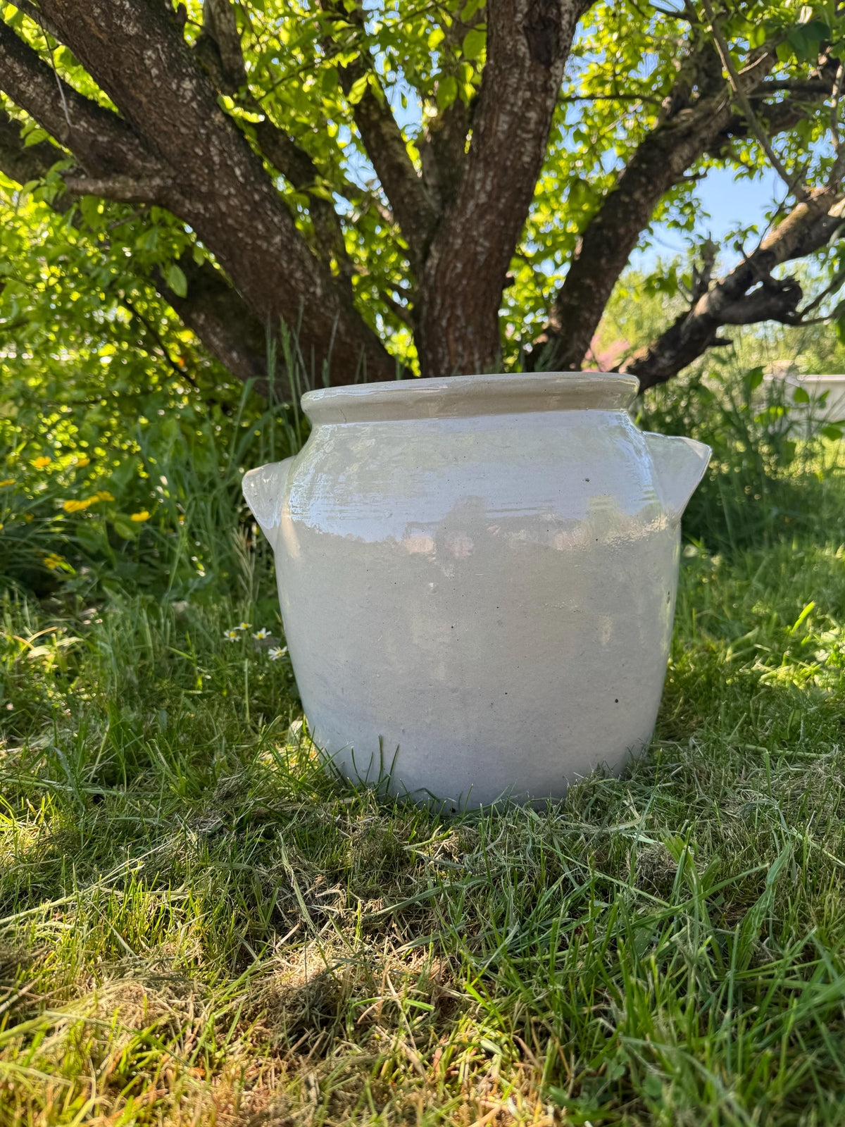 Pot à confit pot en grès