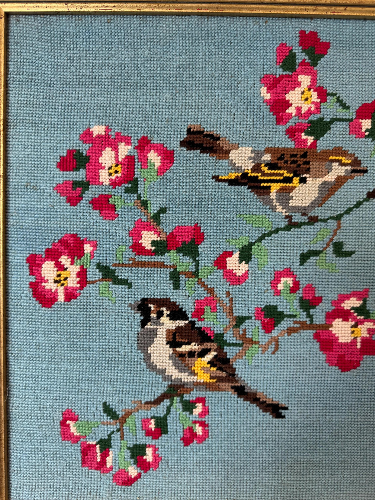 Tableau canevas oiseaux