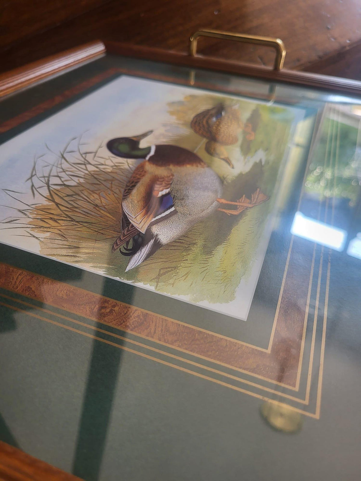 Plateau bois et verre canard
