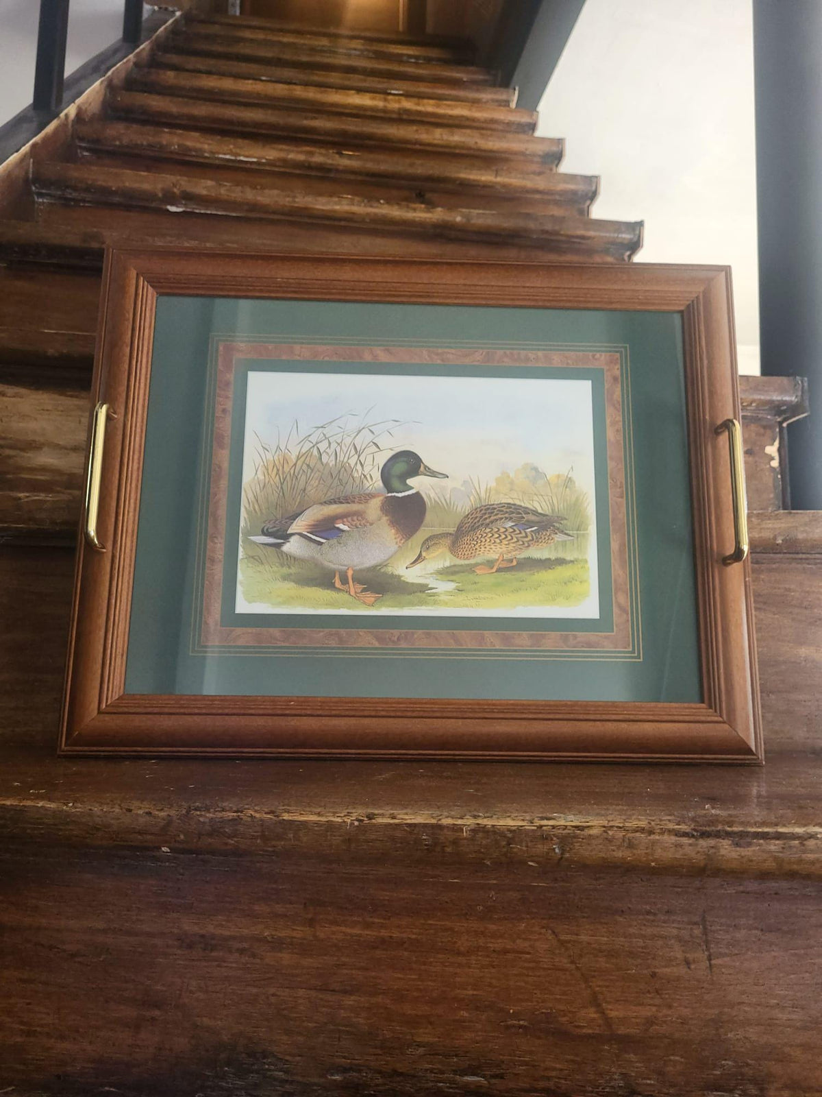 Plateau bois et verre canard