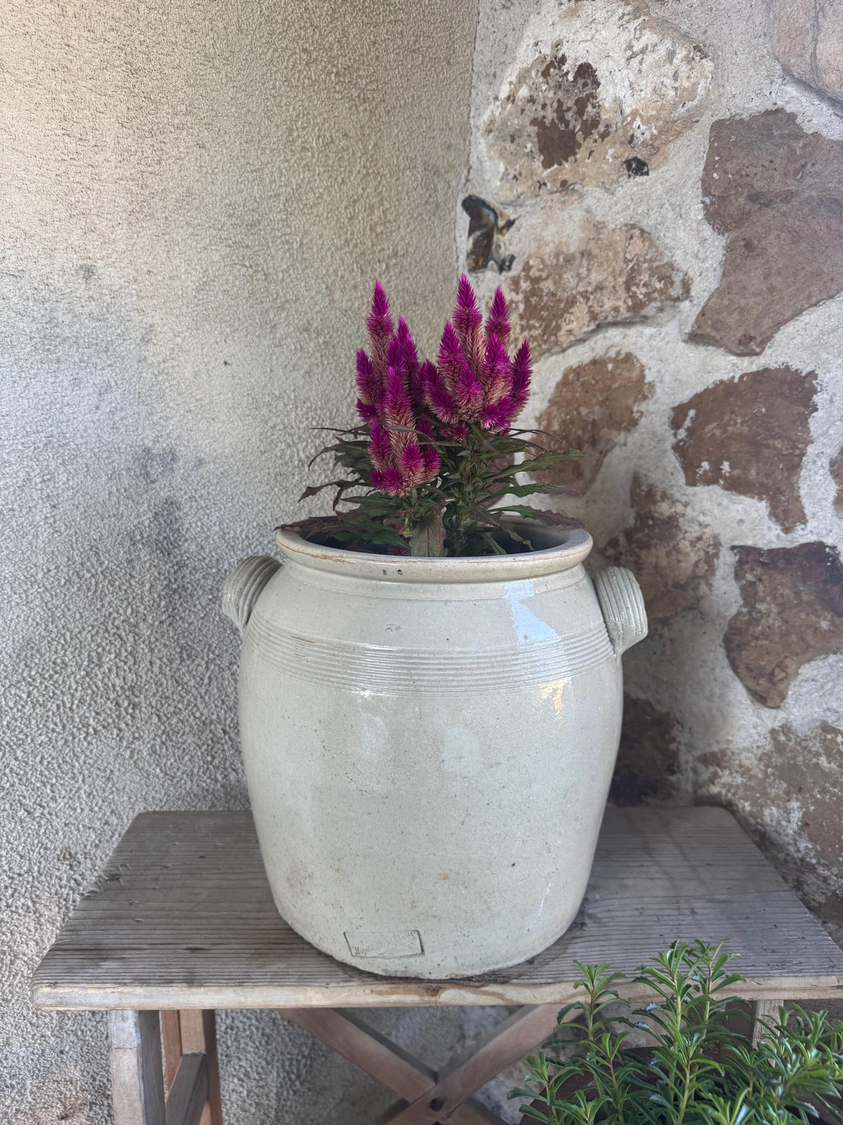 Ancien pot grès pot à moutarde France