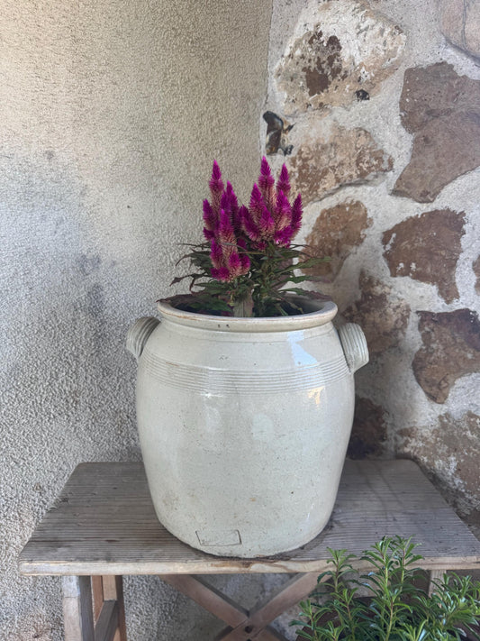 Ancien pot grès pot à moutarde France