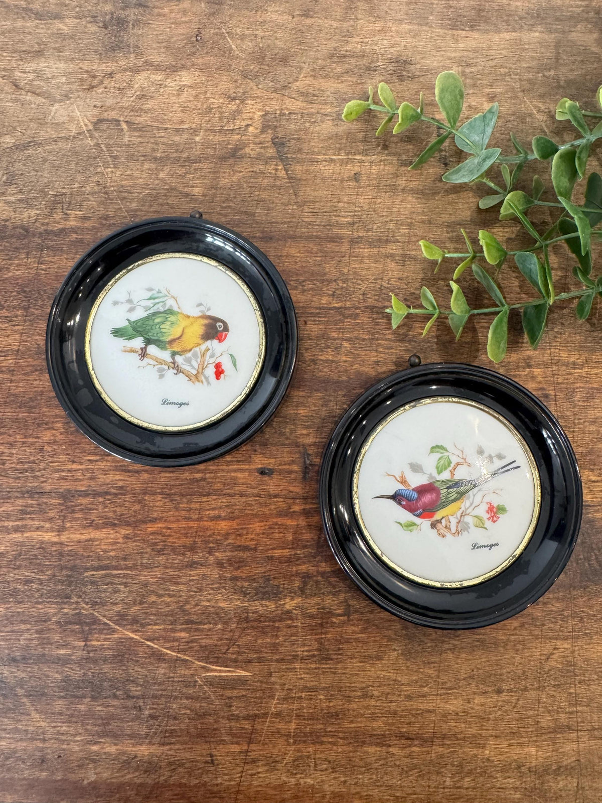Médaillon oiseaux porcelaine Limoges vintage