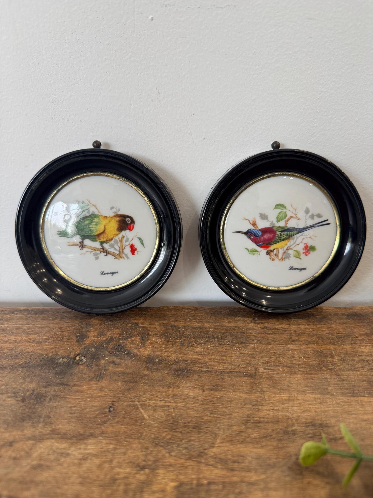 Médaillon oiseaux porcelaine Limoges vintage