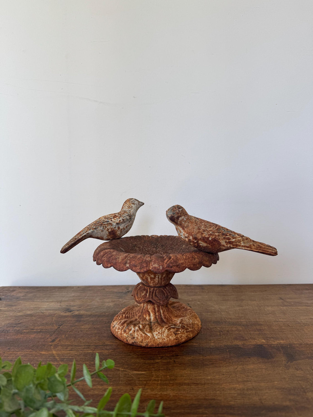 Bassin oiseaux ancien