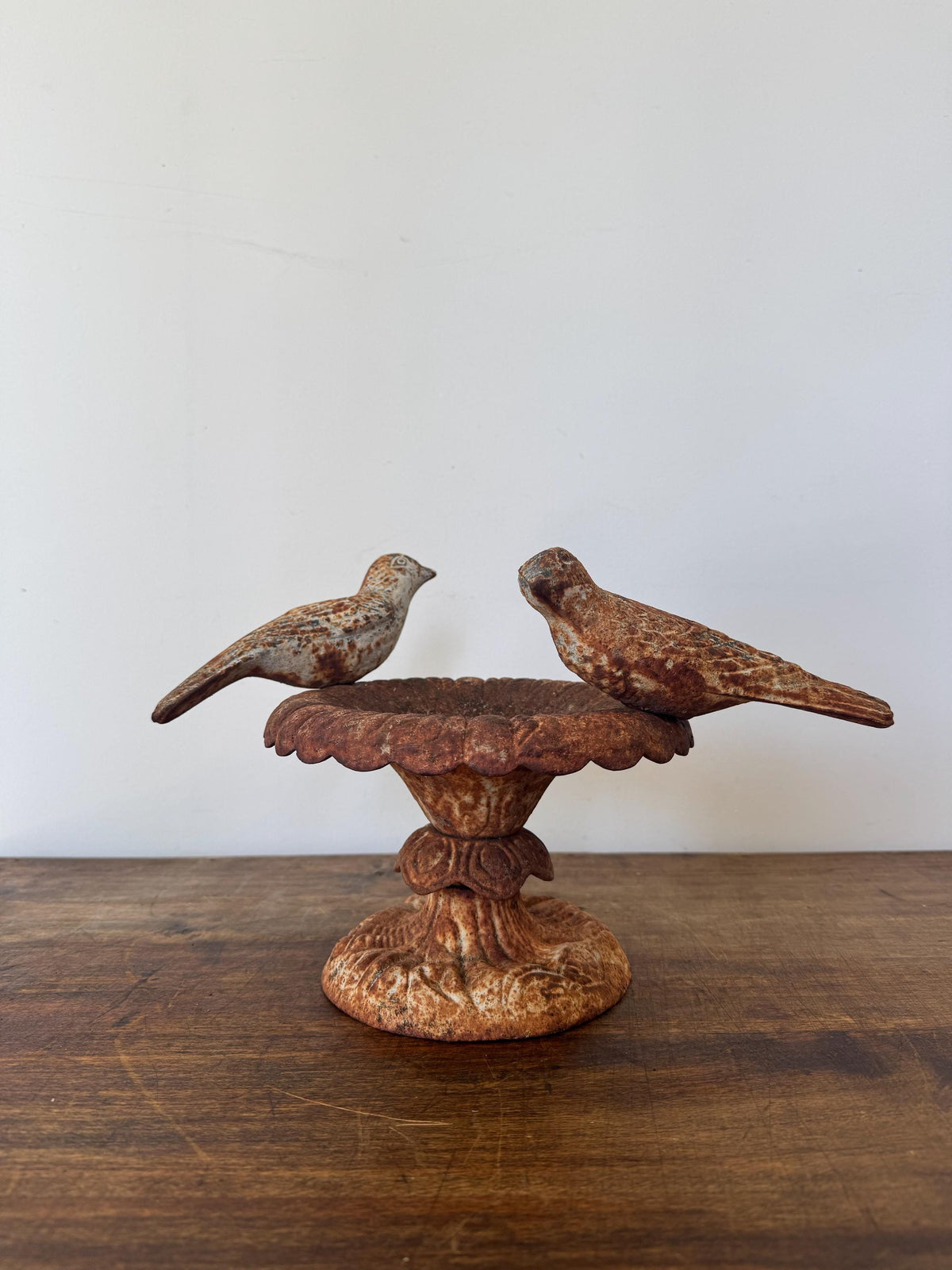 Bassin oiseaux ancien