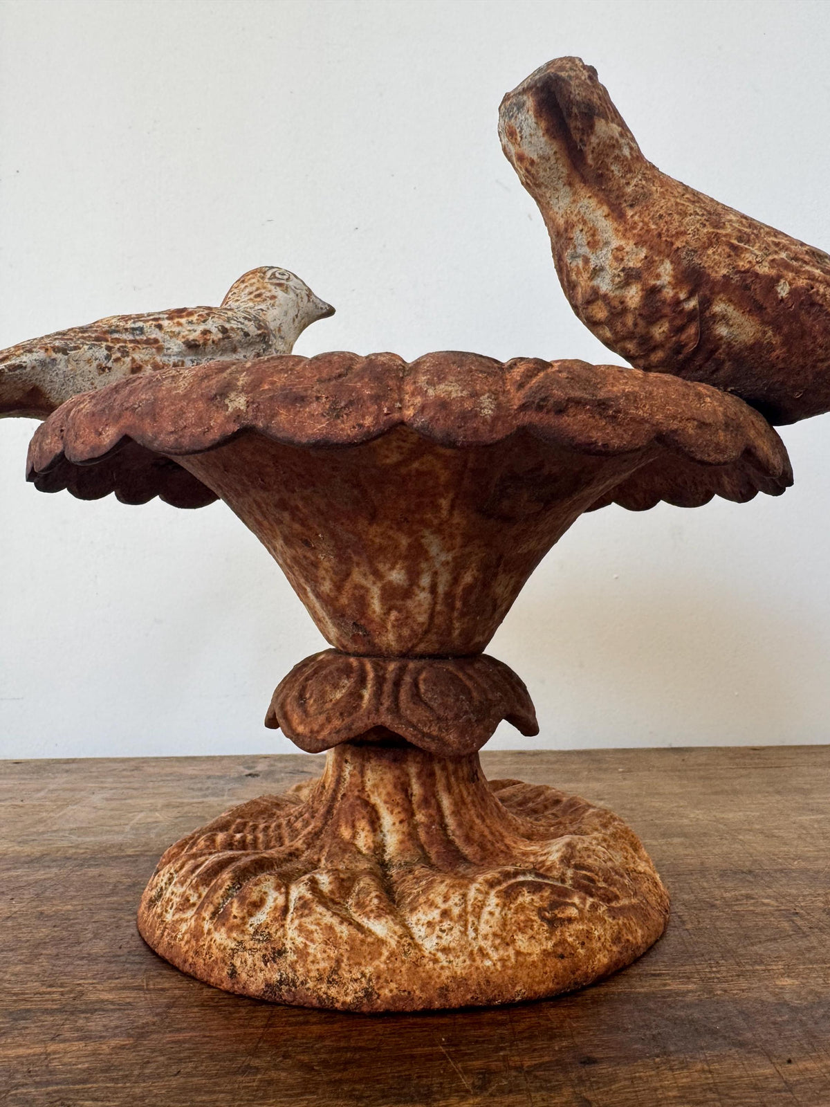 Bassin oiseaux ancien