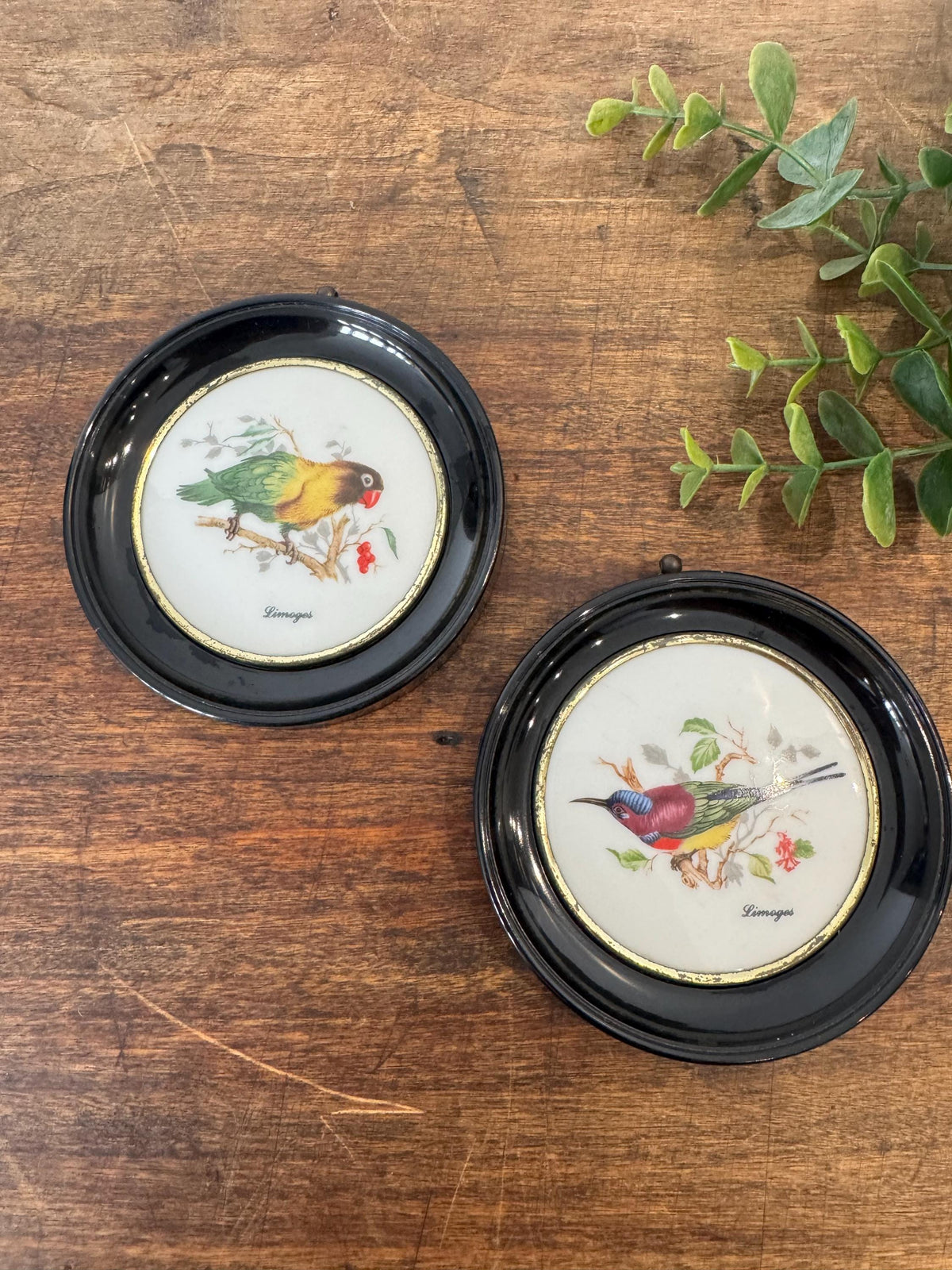 Médaillon oiseaux porcelaine Limoges vintage