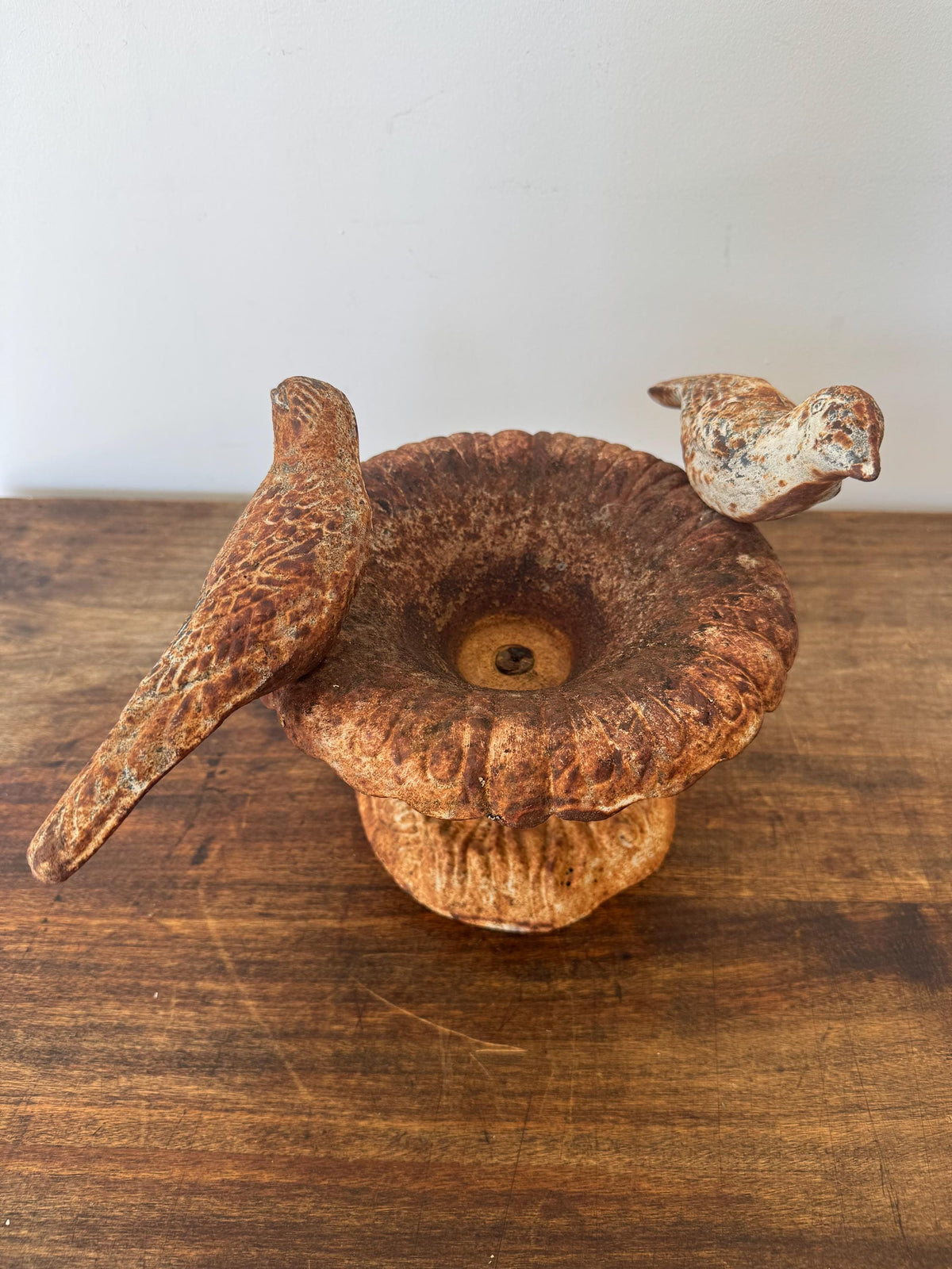 Bassin oiseaux ancien