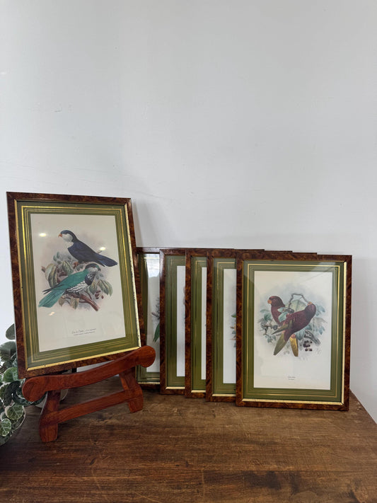 Tableau oiseaux vintage