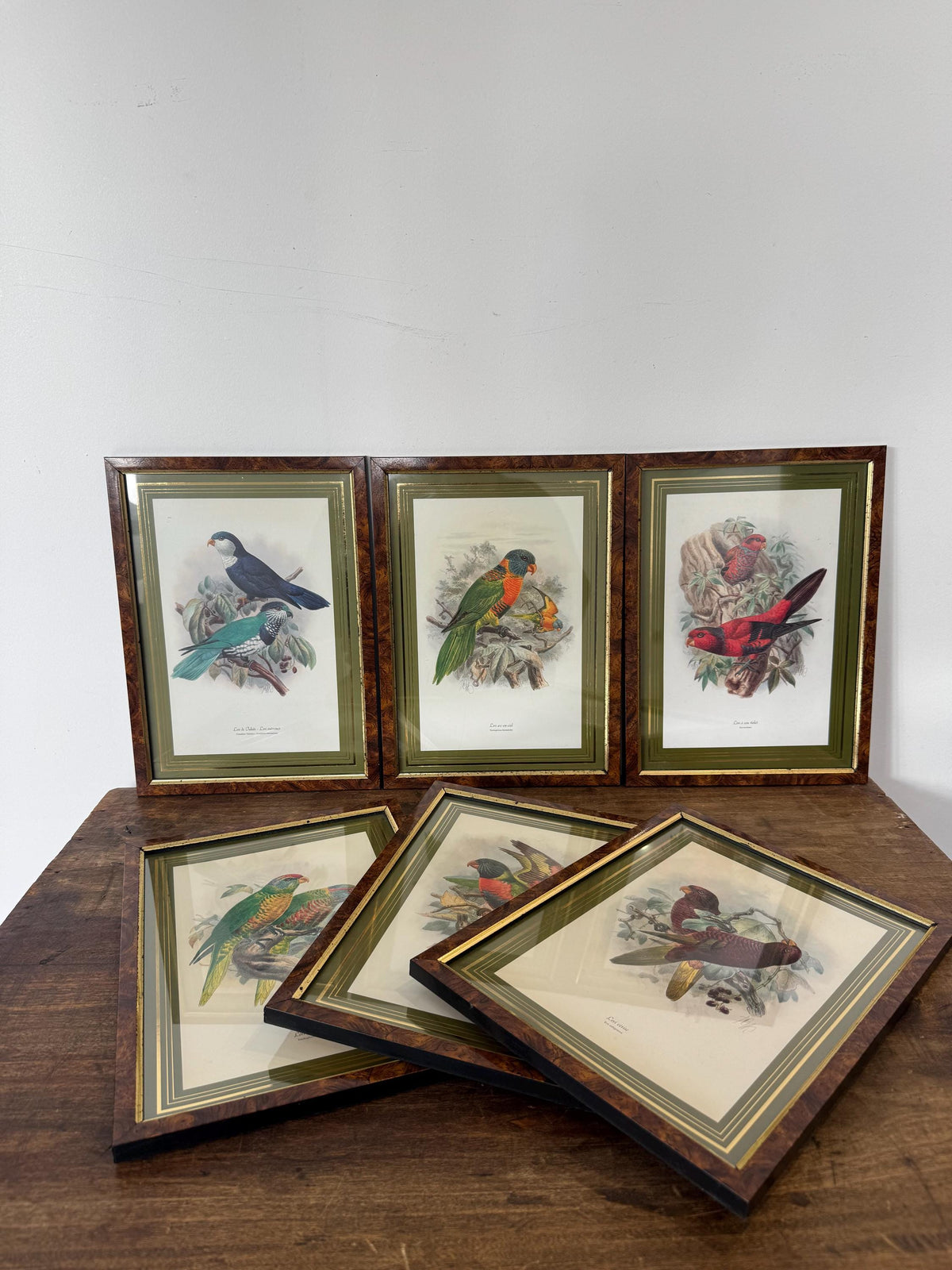 Tableau oiseaux vintage