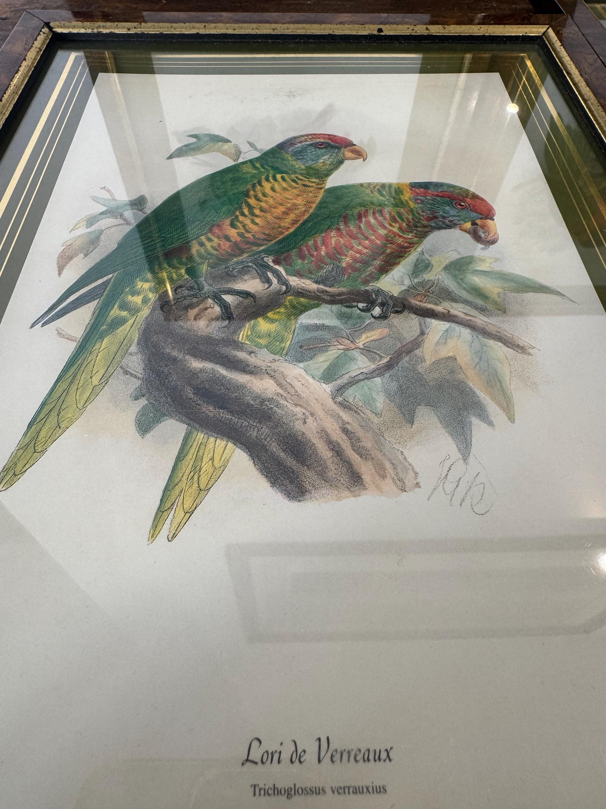 Tableau oiseaux vintage
