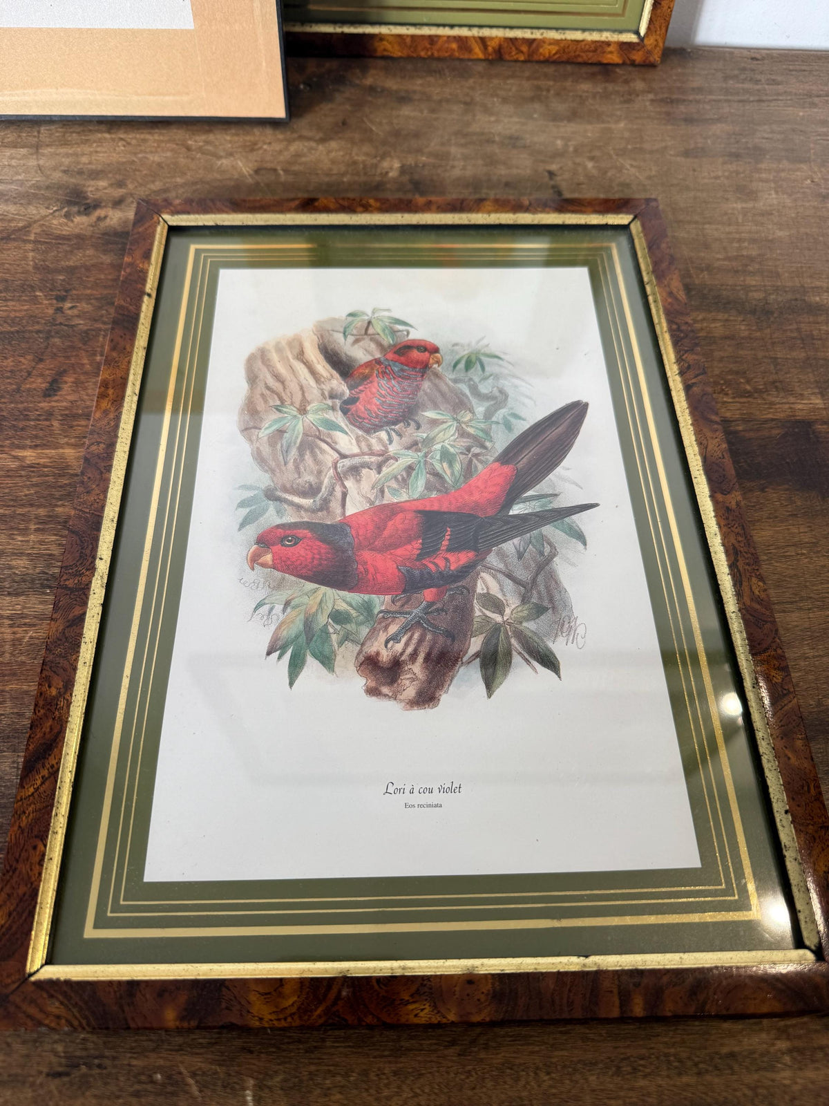 Tableau oiseaux vintage