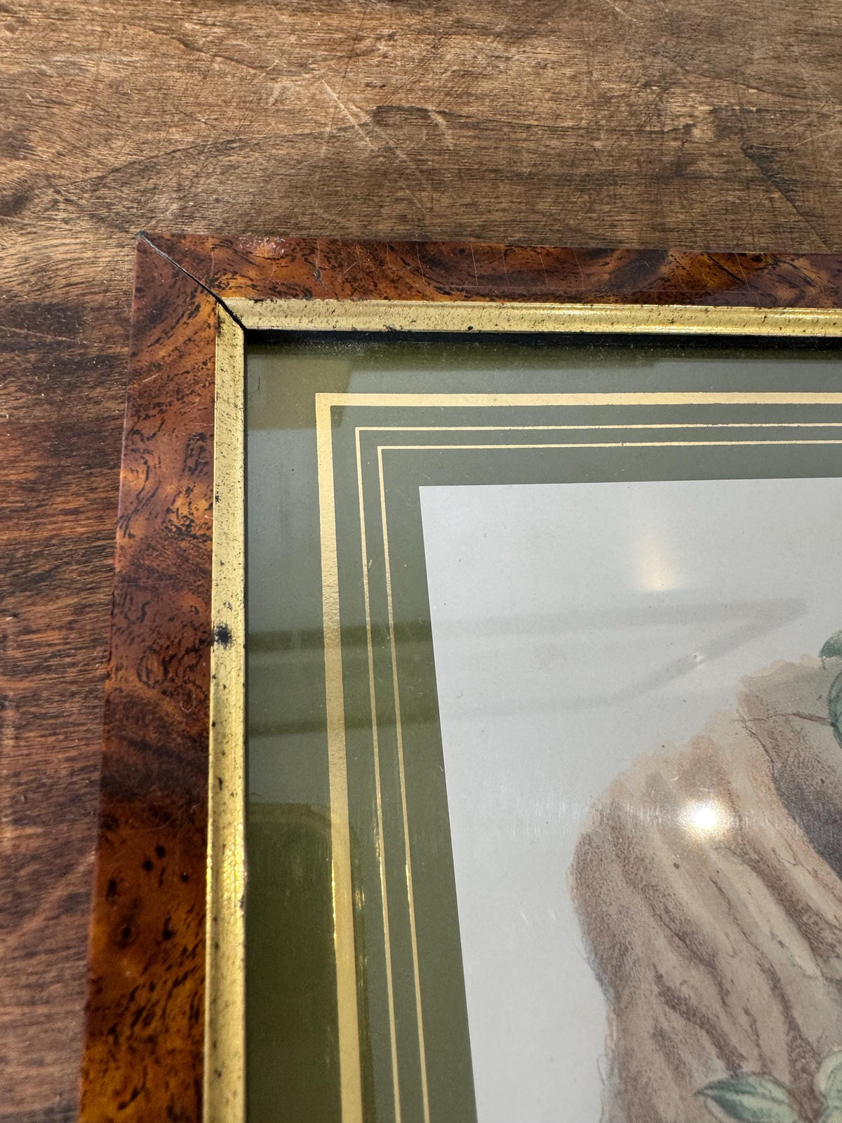 Tableau oiseaux vintage