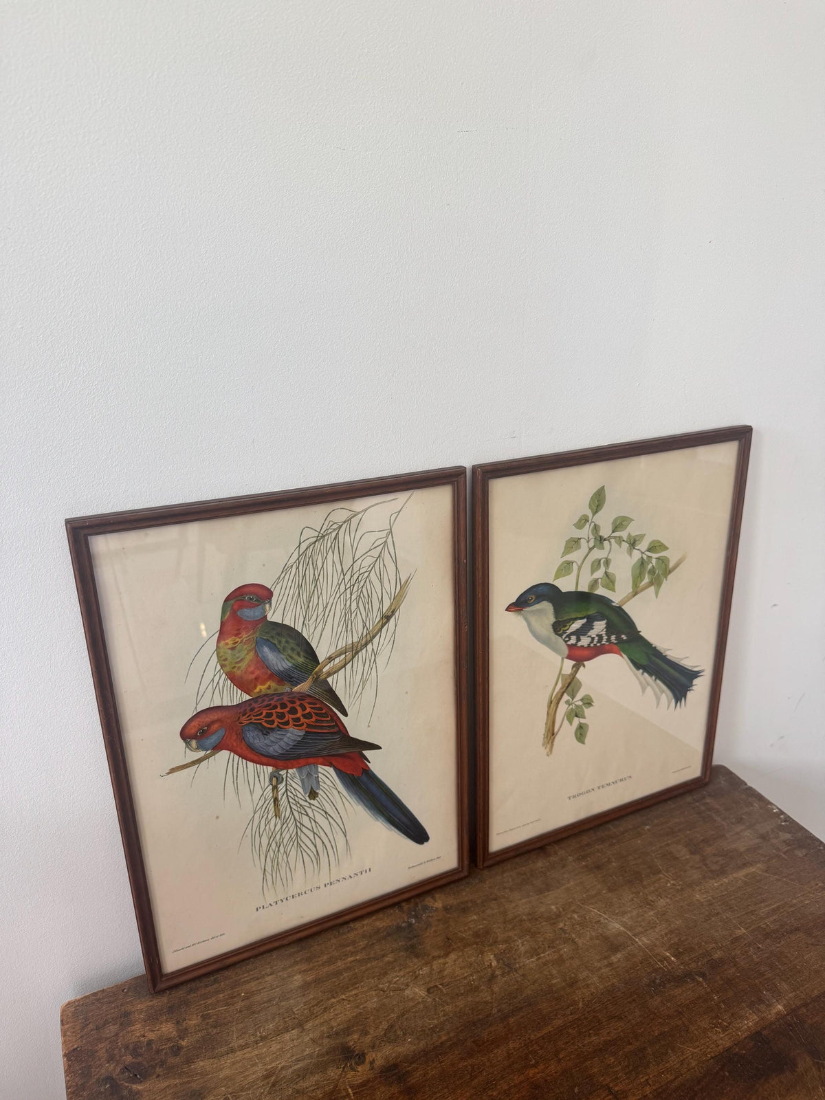 Cadre lithographie oiseaux