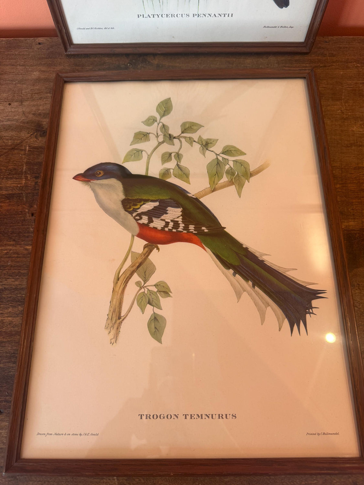 Cadre lithographie oiseaux