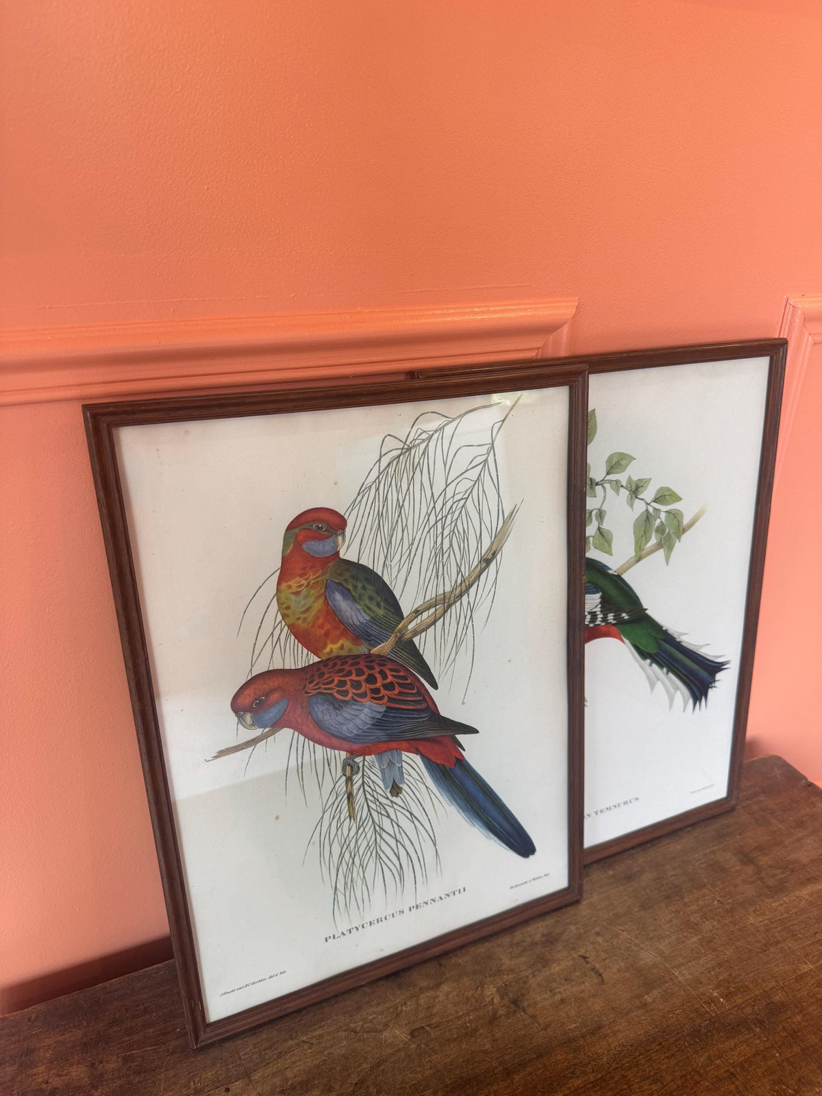 Cadre lithographie oiseaux