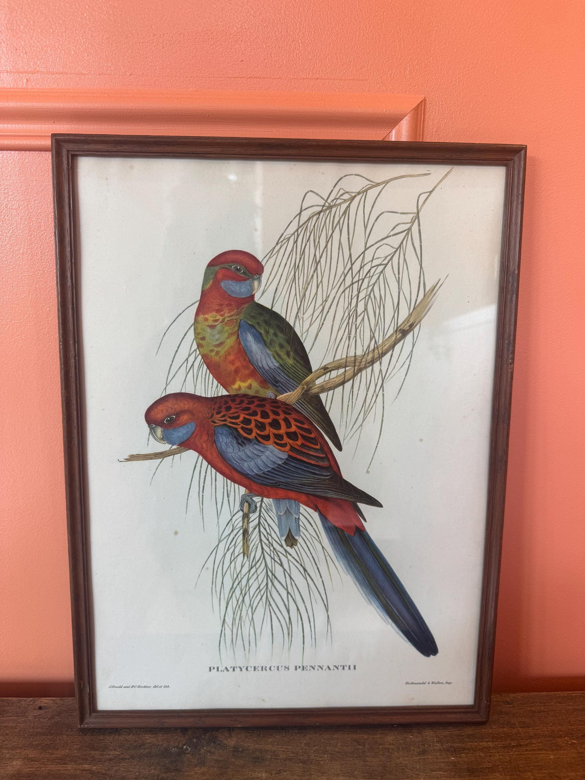 Cadre lithographie oiseaux