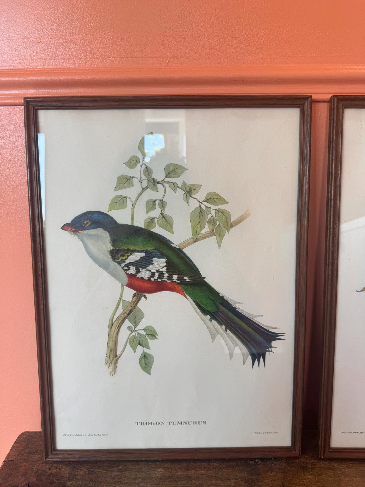 Cadre lithographie oiseaux