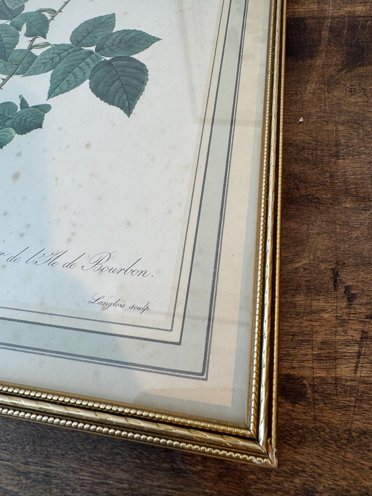 Tableau fleurs vintage cadre doré estampes anciennes