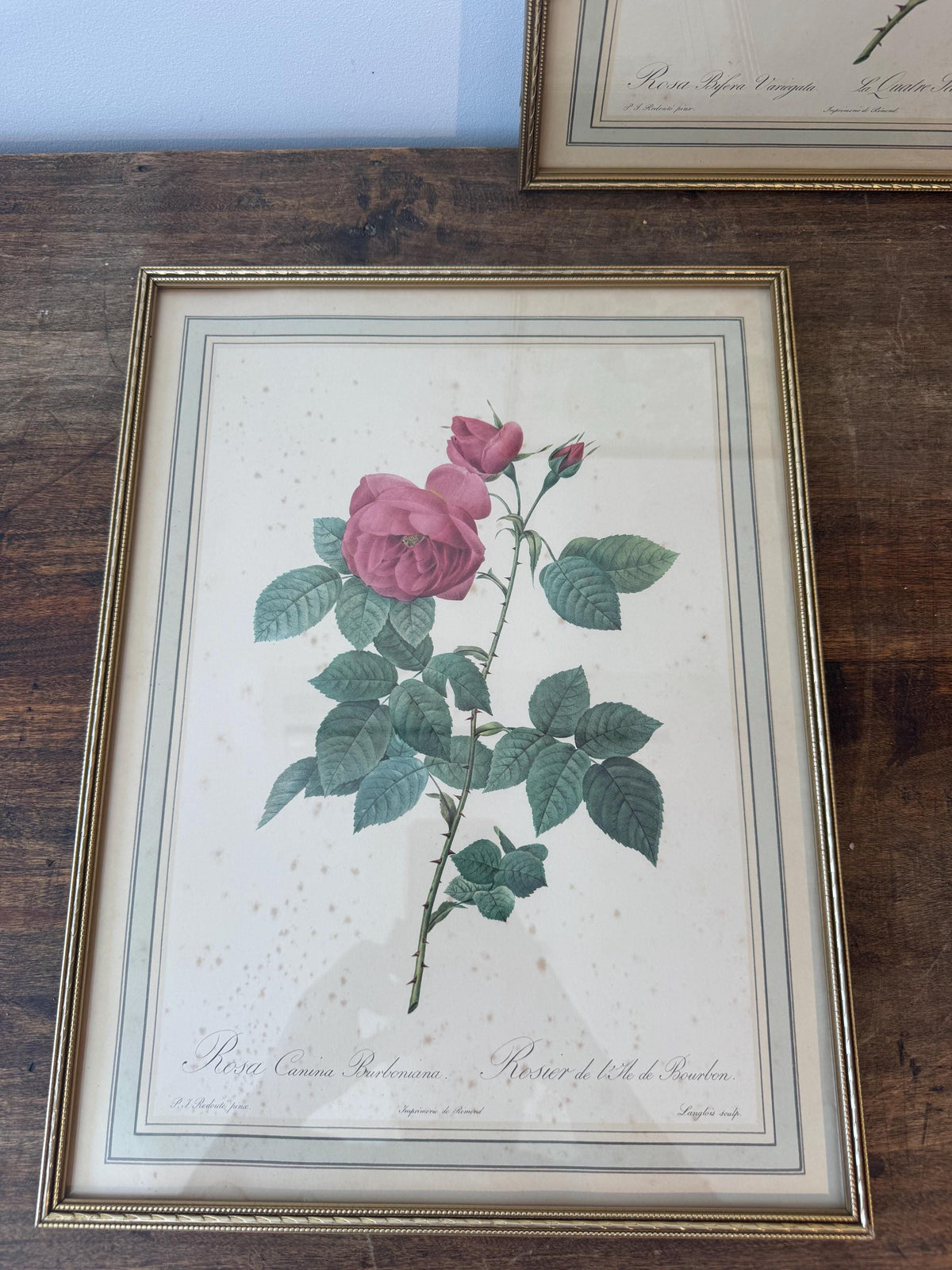 Tableau fleurs vintage cadre doré estampes anciennes