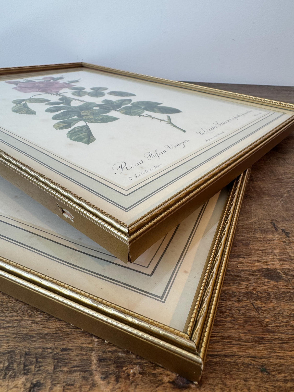 Tableau fleurs vintage cadre doré estampes anciennes
