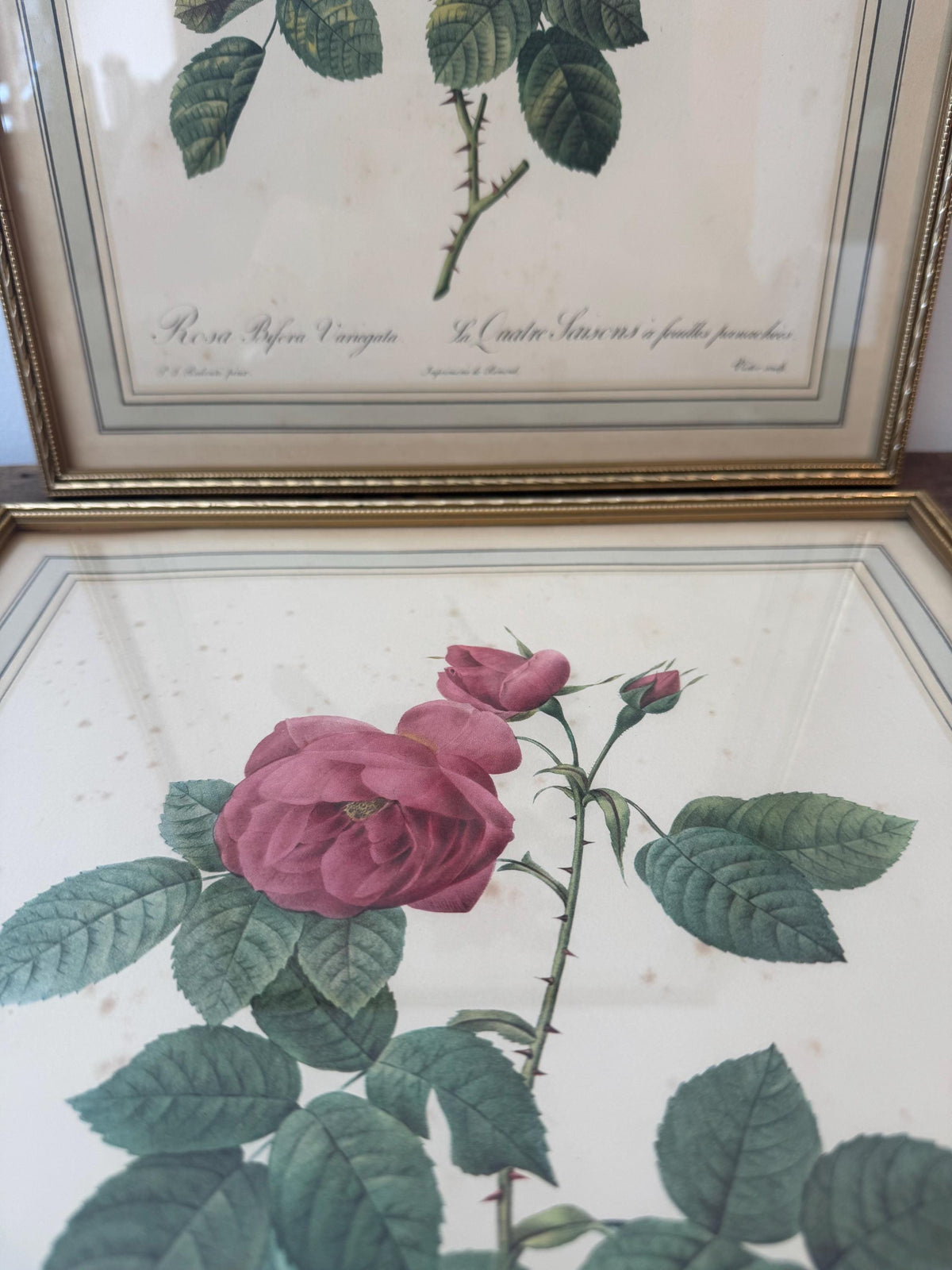Tableau fleurs vintage cadre doré estampes anciennes