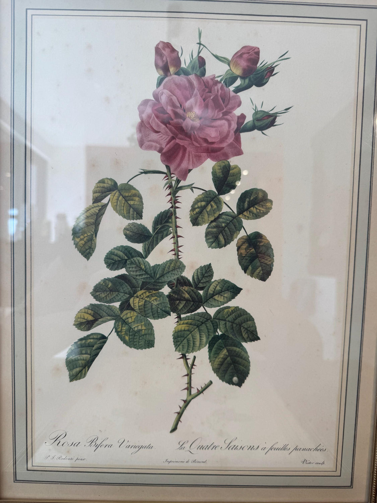 Tableau fleurs vintage cadre doré estampes anciennes