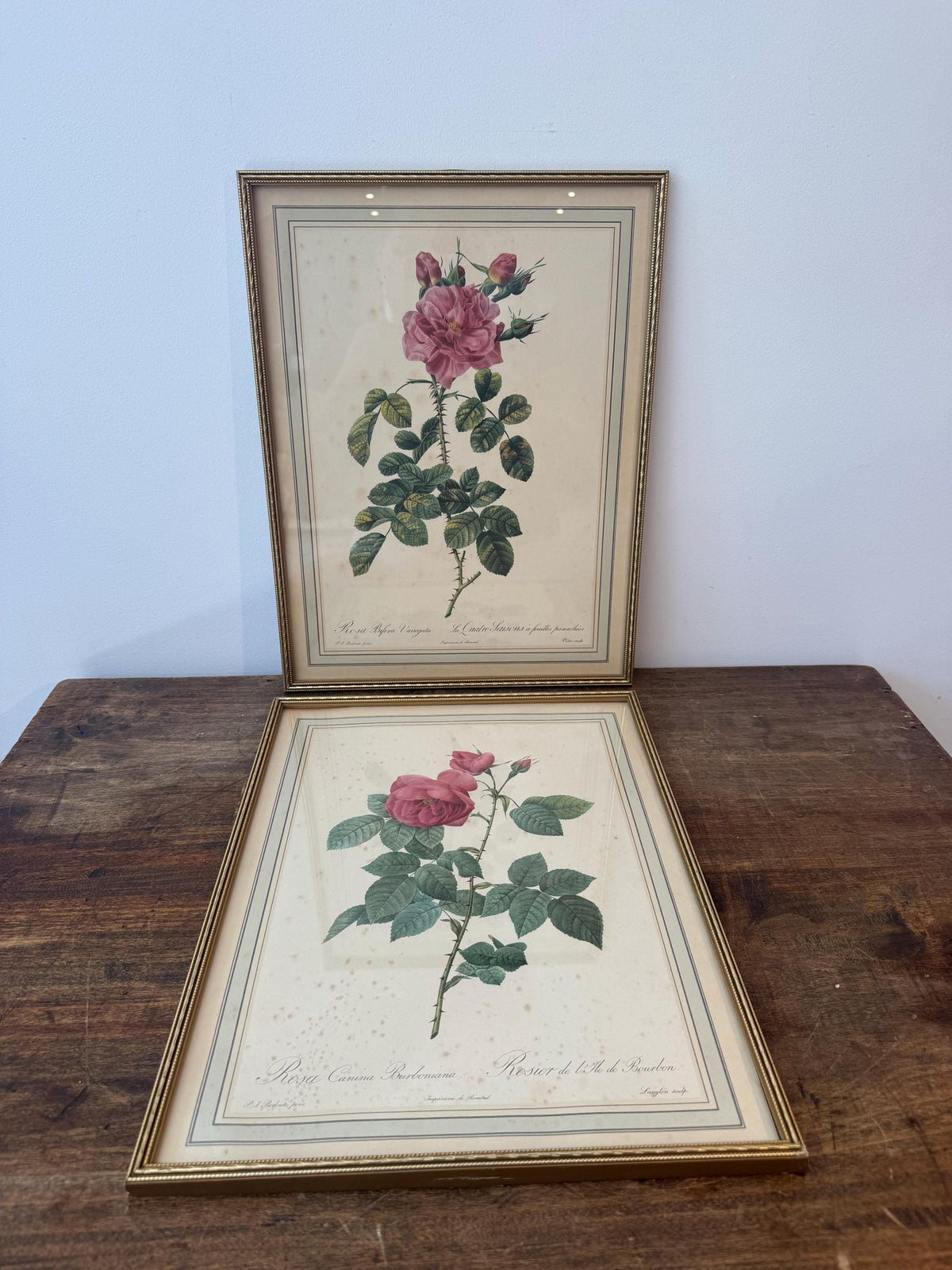 Tableau fleurs vintage cadre doré estampes anciennes