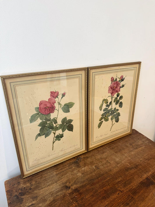 Tableau fleurs vintage cadre doré estampes anciennes