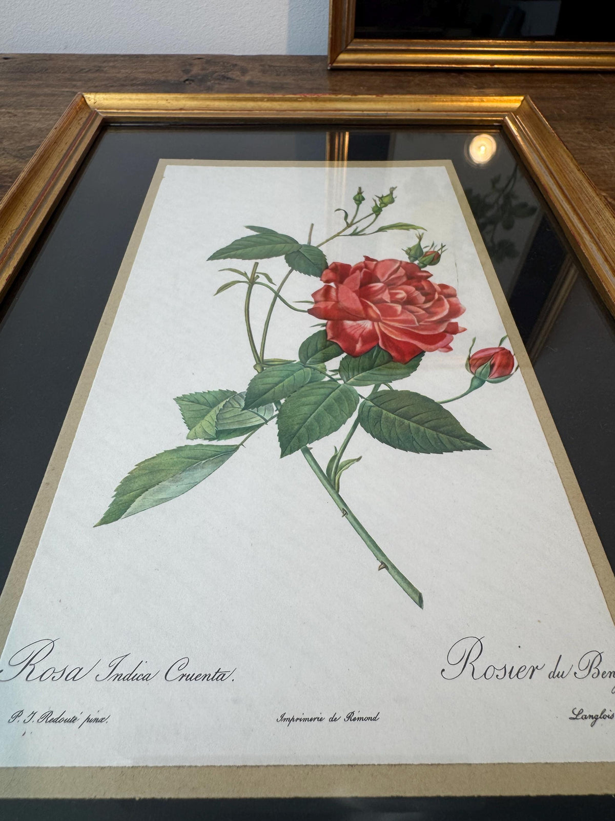 Tableau roses cadre doré vintage tableau fleur