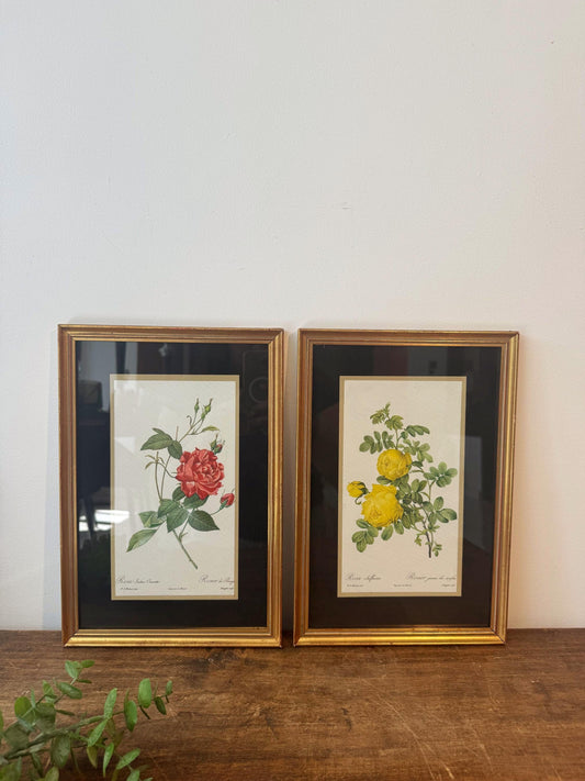 Tableau roses cadre doré vintage tableau fleur
