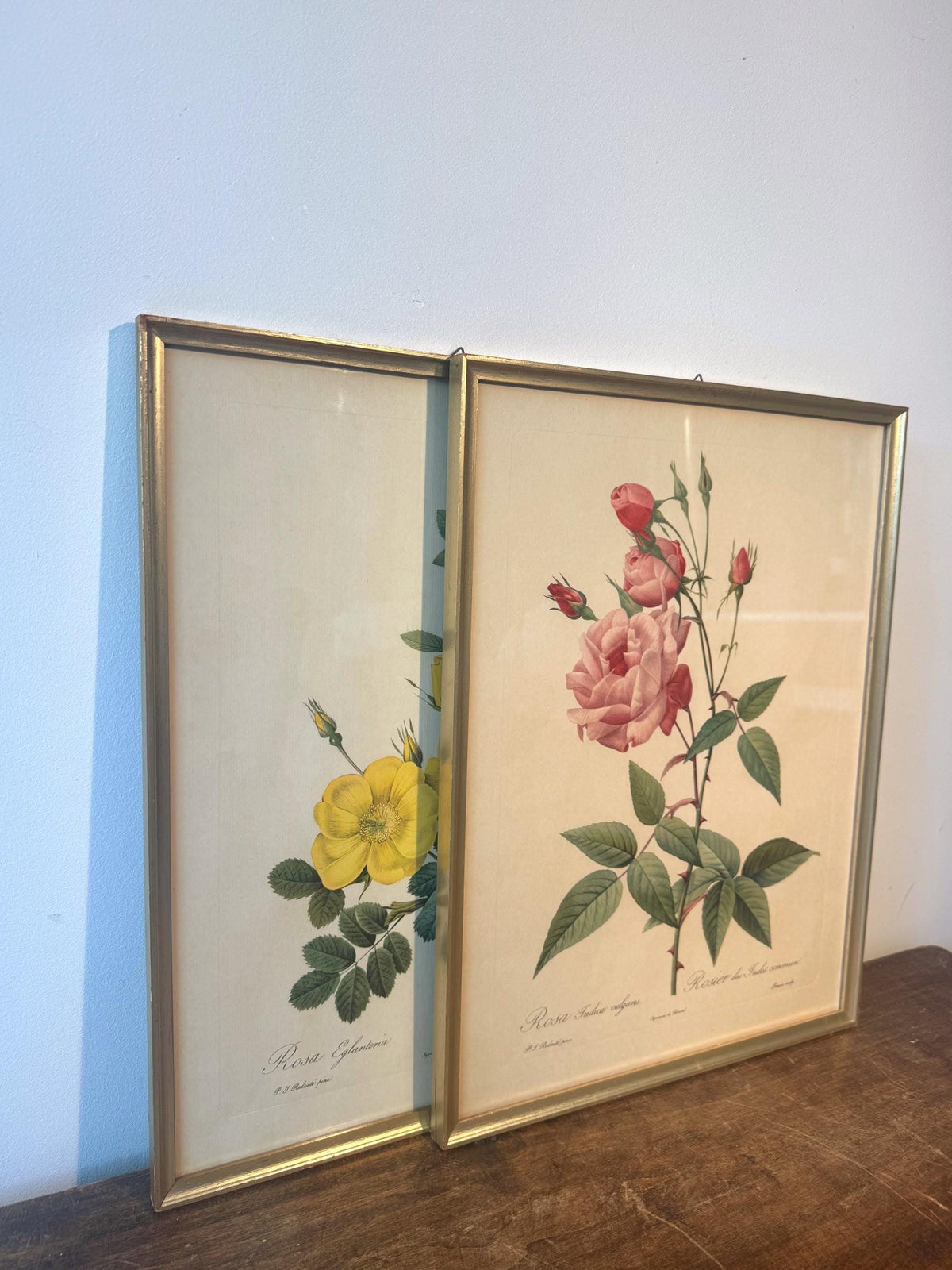 Tableau fleurs vintage cadre doré estampes anciennes
