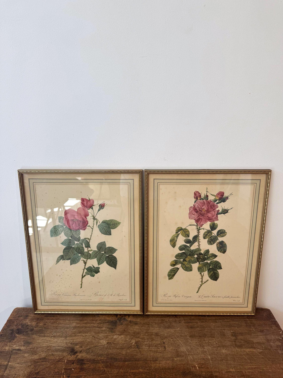 Tableau fleurs vintage cadre doré estampes anciennes