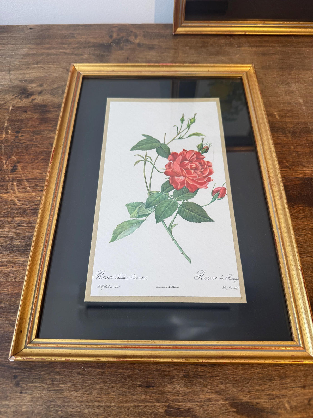 Tableau roses cadre doré vintage tableau fleur