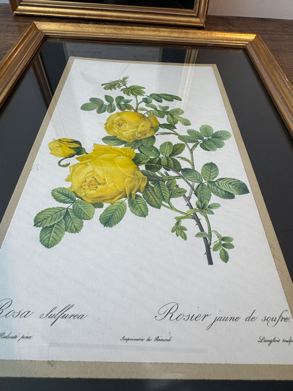 Tableau roses cadre doré vintage tableau fleur
