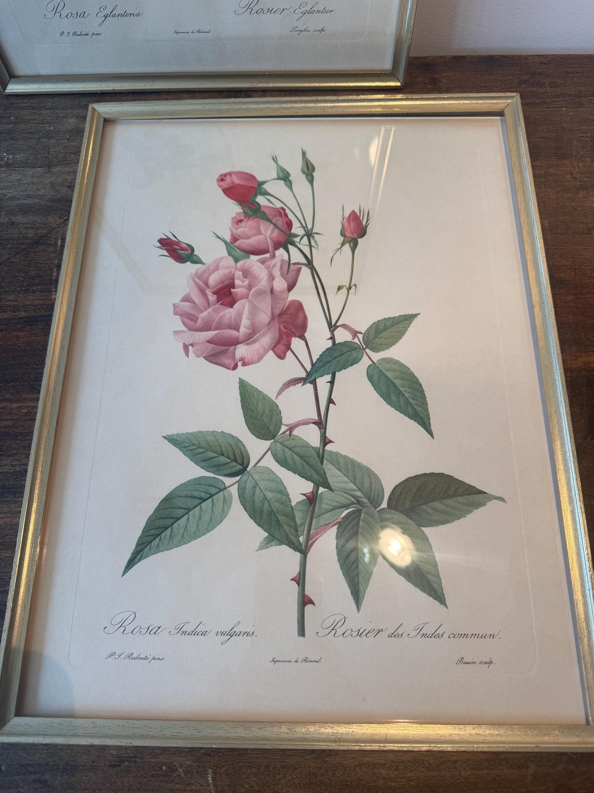 Tableau fleurs vintage cadre doré estampes anciennes