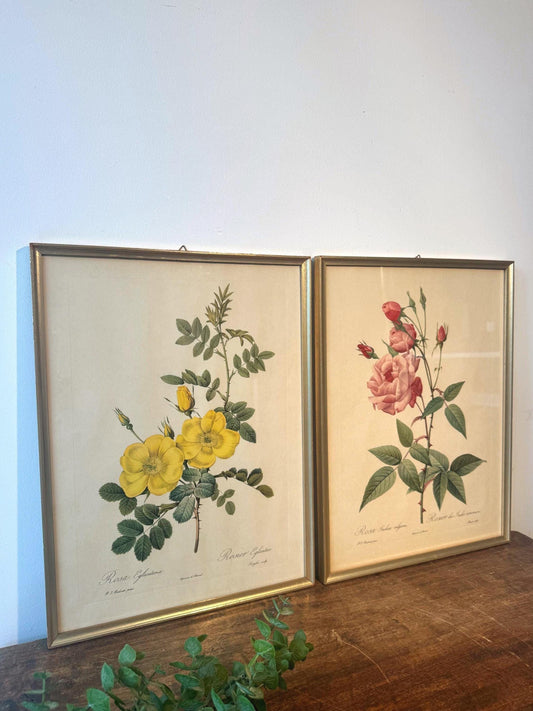 Tableau fleurs vintage cadre doré estampes anciennes