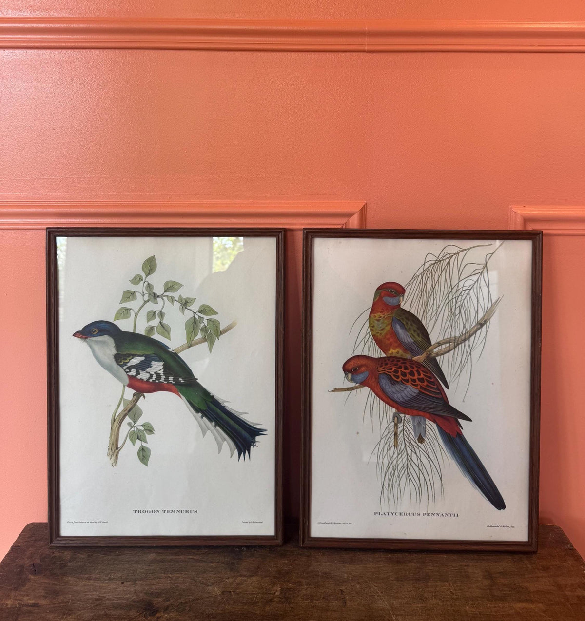 Cadre lithographie oiseaux